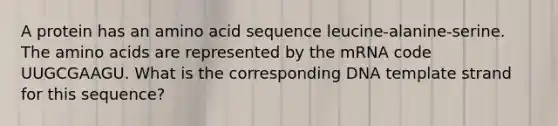 A protein has an amino acid sequence leucine-alanine-serine. The amino acids are represented by the mRNA code UUGCGAAGU. What is the corresponding DNA template strand for this sequence?