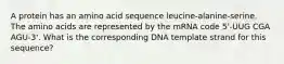 A protein has an amino acid sequence leucine-alanine-serine. The amino acids are represented by the mRNA code 5'-UUG CGA AGU-3'. What is the corresponding DNA template strand for this sequence?