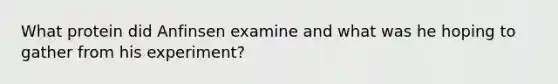 What protein did Anfinsen examine and what was he hoping to gather from his experiment?