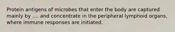 Protein antigens of microbes that enter the body are captured mainly by .... and concentrate in the peripheral lymphoid organs, where immune responses are initiated.