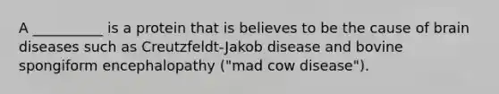 A __________ is a protein that is believes to be the cause of brain diseases such as Creutzfeldt-Jakob disease and bovine spongiform encephalopathy ("mad cow disease").