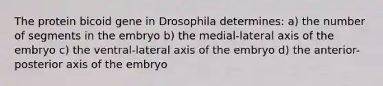 The protein bicoid gene in Drosophila determines: a) the number of segments in the embryo b) the medial-lateral axis of the embryo c) the ventral-lateral axis of the embryo d) the anterior-posterior axis of the embryo