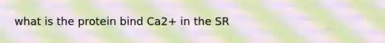 what is the protein bind Ca2+ in the SR