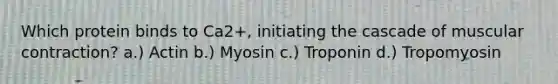 Which protein binds to Ca2+, initiating the cascade of muscular contraction? a.) Actin b.) Myosin c.) Troponin d.) Tropomyosin