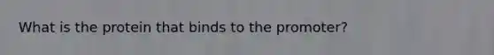 What is the protein that binds to the promoter?