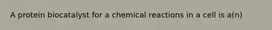 A protein biocatalyst for a chemical reactions in a cell is a(n)