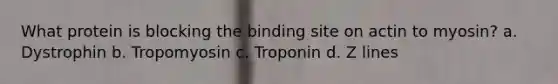 What protein is blocking the binding site on actin to myosin? a. Dystrophin b. Tropomyosin c. Troponin d. Z lines