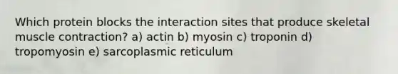 Which protein blocks the interaction sites that produce skeletal muscle contraction? a) actin b) myosin c) troponin d) tropomyosin e) sarcoplasmic reticulum