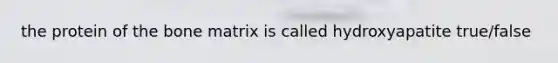 the protein of the bone matrix is called hydroxyapatite true/false