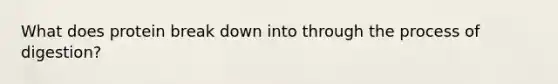 What does protein break down into through the process of digestion?
