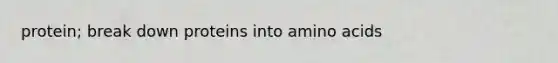 protein; break down proteins into amino acids
