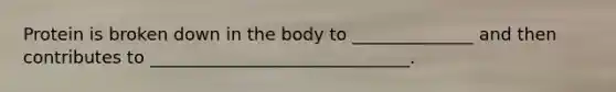 Protein is broken down in the body to ______________ and then contributes to ______________________________.