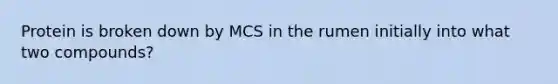 Protein is broken down by MCS in the rumen initially into what two compounds?