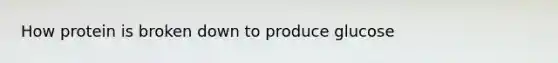 How protein is broken down to produce glucose