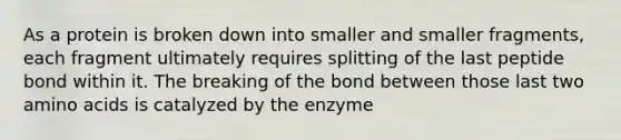 As a protein is broken down into smaller and smaller fragments, each fragment ultimately requires splitting of the last peptide bond within it. The breaking of the bond between those last two amino acids is catalyzed by the enzyme