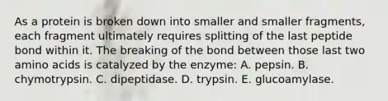 As a protein is broken down into smaller and smaller fragments, each fragment ultimately requires splitting of the last peptide bond within it. The breaking of the bond between those last two amino acids is catalyzed by the enzyme: A. pepsin. B. chymotrypsin. C. dipeptidase. D. trypsin. E. glucoamylase.