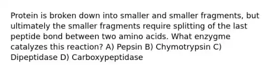 Protein is broken down into smaller and smaller fragments, but ultimately the smaller fragments require splitting of the last peptide bond between two <a href='https://www.questionai.com/knowledge/k9gb720LCl-amino-acids' class='anchor-knowledge'>amino acids</a>. What enzygme catalyzes this reaction? A) Pepsin B) Chymotrypsin C) Dipeptidase D) Carboxypeptidase