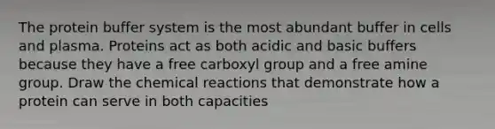 The protein buffer system is the most abundant buffer in cells and plasma. Proteins act as both acidic and basic buffers because they have a free carboxyl group and a free amine group. Draw the chemical reactions that demonstrate how a protein can serve in both capacities