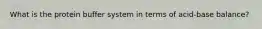 What is the protein buffer system in terms of acid-base balance?
