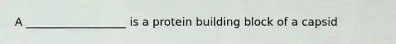 A __________________ is a protein building block of a capsid