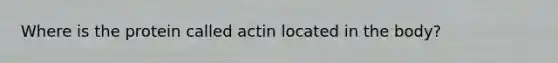 Where is the protein called actin located in the body?