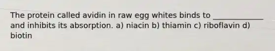 The protein called avidin in raw egg whites binds to _____________ and inhibits its absorption. a) niacin b) thiamin c) riboflavin d) biotin