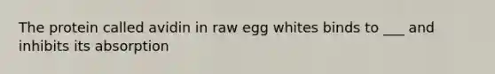 The protein called avidin in raw egg whites binds to ___ and inhibits its absorption