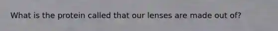 What is the protein called that our lenses are made out of?