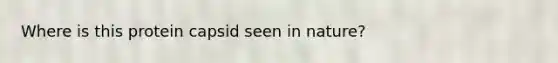 Where is this protein capsid seen in nature?