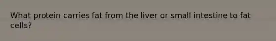 What protein carries fat from the liver or small intestine to fat cells?