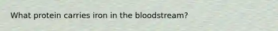 What protein carries iron in the bloodstream?
