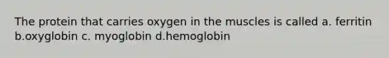 The protein that carries oxygen in the muscles is called a. ferritin b.oxyglobin c. myoglobin d.hemoglobin