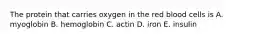 The protein that carries oxygen in the red blood cells is A. myoglobin B. hemoglobin C. actin D. iron E. insulin