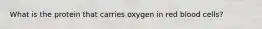 What is the protein that carries oxygen in red blood cells?
