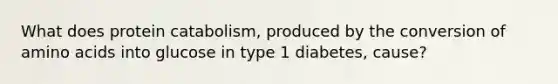 What does protein catabolism, produced by the conversion of amino acids into glucose in type 1 diabetes, cause?