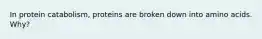 In protein catabolism, proteins are broken down into amino acids. Why?