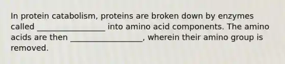 In protein catabolism, proteins are broken down by enzymes called _________________ into amino acid components. The amino acids are then __________________, wherein their amino group is removed.