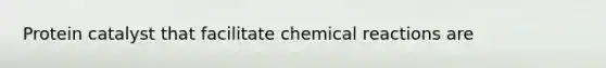 Protein catalyst that facilitate chemical reactions are