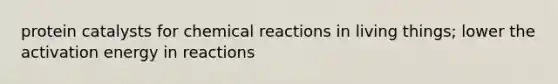 protein catalysts for chemical reactions in living things; lower the activation energy in reactions