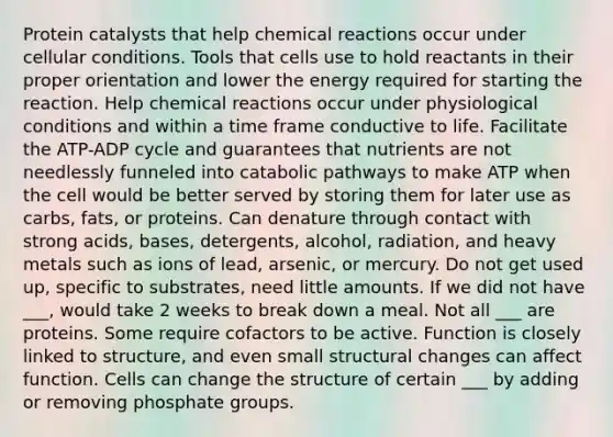 Protein catalysts that help chemical reactions occur under cellular conditions. Tools that cells use to hold reactants in their proper orientation and lower the energy required for starting the reaction. Help chemical reactions occur under physiological conditions and within a time frame conductive to life. Facilitate the ATP-ADP cycle and guarantees that nutrients are not needlessly funneled into catabolic pathways to make ATP when the cell would be better served by storing them for later use as carbs, fats, or proteins. Can denature through contact with strong acids, bases, detergents, alcohol, radiation, and heavy metals such as ions of lead, arsenic, or mercury. Do not get used up, specific to substrates, need little amounts. If we did not have ___, would take 2 weeks to break down a meal. Not all ___ are proteins. Some require cofactors to be active. Function is closely linked to structure, and even small structural changes can affect function. Cells can change the structure of certain ___ by adding or removing phosphate groups.