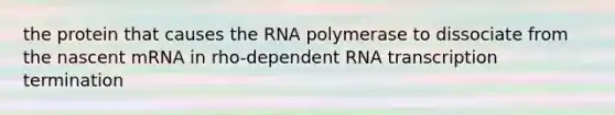 the protein that causes the RNA polymerase to dissociate from the nascent mRNA in rho-dependent RNA transcription termination