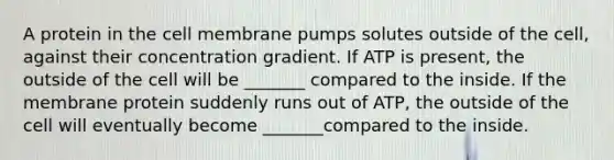 A protein in the cell membrane pumps solutes outside of the cell, against their concentration gradient. If ATP is present, the outside of the cell will be _______ compared to the inside. If the membrane protein suddenly runs out of ATP, the outside of the cell will eventually become _______compared to the inside.