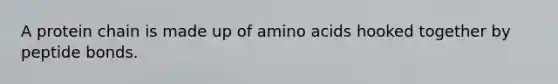 A protein chain is made up of amino acids hooked together by peptide bonds.