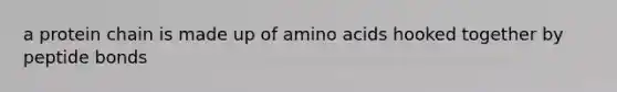 a protein chain is made up of amino acids hooked together by peptide bonds