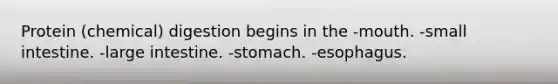 Protein (chemical) digestion begins in the -mouth. -small intestine. -large intestine. -stomach. -esophagus.