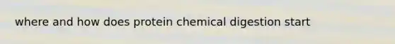 where and how does protein chemical digestion start