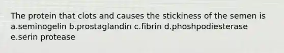 The protein that clots and causes the stickiness of the semen is a.seminogelin b.prostaglandin c.fibrin d.phoshpodiesterase e.serin protease