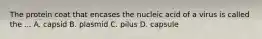 The protein coat that encases the nucleic acid of a virus is called the ... A. capsid B. plasmid C. pilus D. capsule