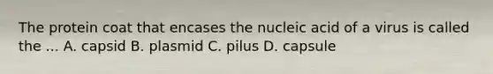 The protein coat that encases the nucleic acid of a virus is called the ... A. capsid B. plasmid C. pilus D. capsule