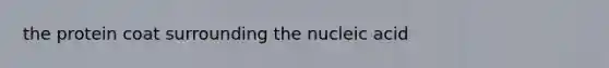 the protein coat surrounding the nucleic acid